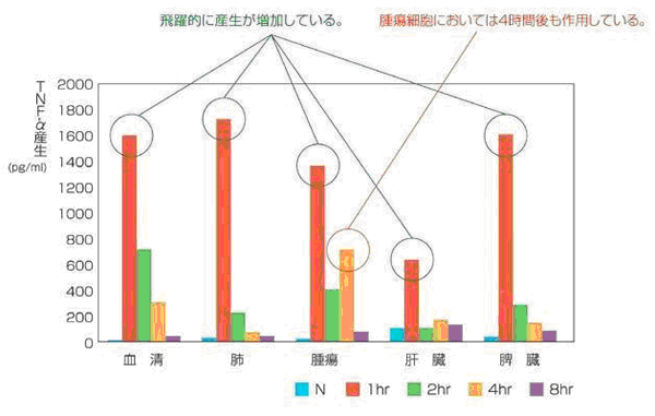 腫瘍細胞を壊死させる作用のある物質tnf A 漢方医学療法研究会